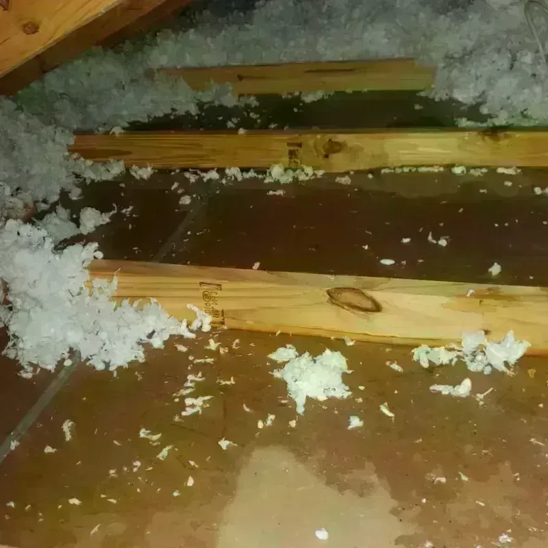 Attic Water Damage in Endicott, NY